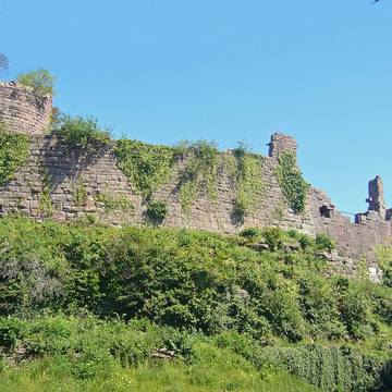 Enceinte protohistorique du Château du Frankenbourg